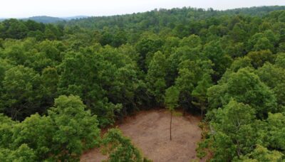 Owner Financed Hunting and Recreational Land in Missouri and Arkansas