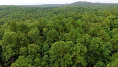 Owner Financed Hunting and Recreational Land in Missouri and Arkansas