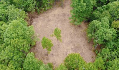 Owner Financed Hunting and Recreational Land in Missouri and Arkansas