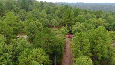 Owner Financed Hunting and Recreational Land in Missouri and Arkansas