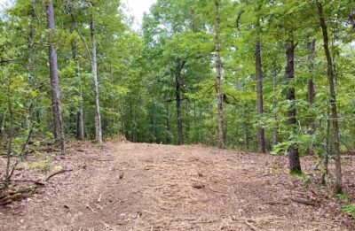 Owner Financed Hunting and Recreational Land in Missouri and Arkansas