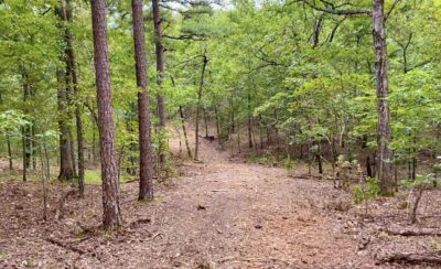Owner Financed Hunting and Recreational Land in Missouri and Arkansas