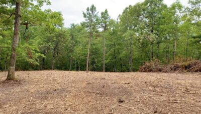 Owner Financed Hunting and Recreational Land in Missouri and Arkansas