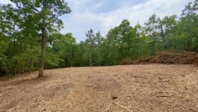 Owner Financed Hunting and Recreational Land in Missouri and Arkansas