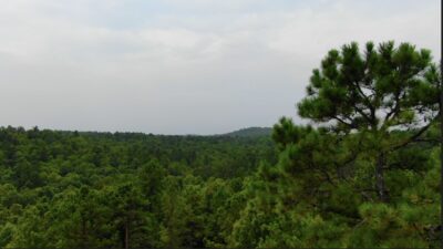 Owner Financed Hunting and Recreational Land in Missouri and Arkansas