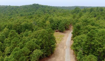 Owner Financed Hunting and Recreational Land in Missouri and Arkansas