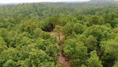 Owner Financed Hunting and Recreational Land in Missouri and Arkansas