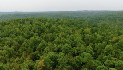 Owner Financed Hunting and Recreational Land in Missouri and Arkansas