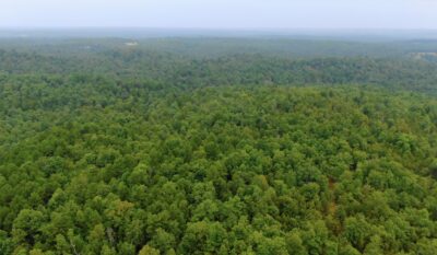 Owner Financed Hunting and Recreational Land in Missouri and Arkansas
