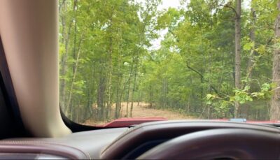 Owner Financed Hunting and Recreational Land in Missouri and Arkansas