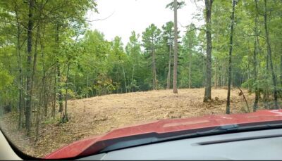 Owner Financed Hunting and Recreational Land in Missouri and Arkansas