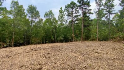 Owner Financed Hunting and Recreational Land in Missouri and Arkansas