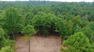 Owner Financed Hunting and Recreational Land in Missouri and Arkansas
