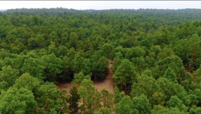Owner Financed Hunting and Recreational Land in Missouri and Arkansas