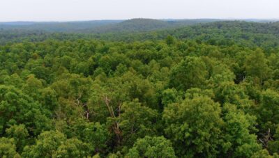 Owner Financed Hunting and Recreational Land in Missouri and Arkansas