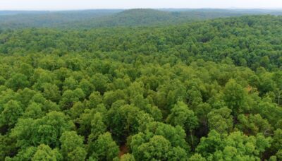 Owner Financed Hunting and Recreational Land in Missouri and Arkansas