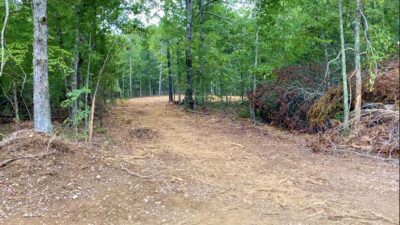 Owner Financed Hunting and Recreational Land in Missouri and Arkansas