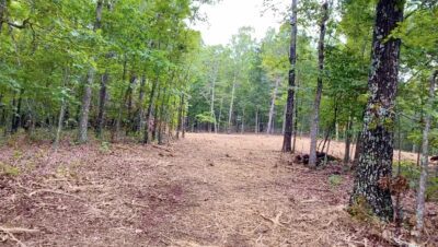 Owner Financed Hunting and Recreational Land in Missouri and Arkansas
