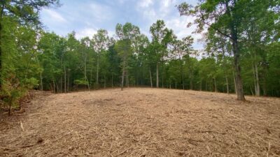 Owner Financed Hunting and Recreational Land in Missouri and Arkansas