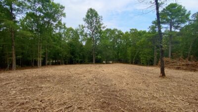 Owner Financed Hunting and Recreational Land in Missouri and Arkansas