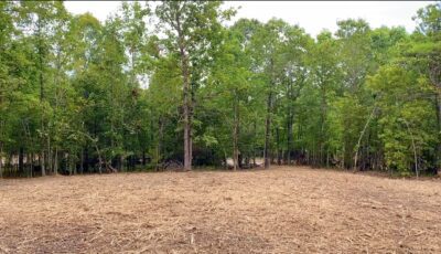 Owner Financed Hunting and Recreational Land in Missouri and Arkansas