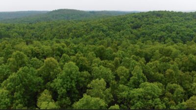 Owner Financed Hunting and Recreational Land in Missouri and Arkansas