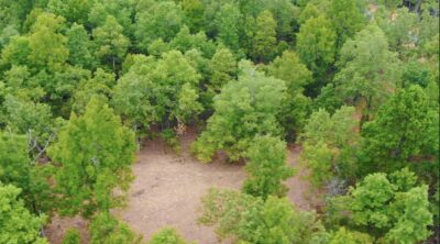 Owner Financed Hunting and Recreational Land in Missouri and Arkansas