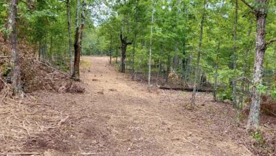 Owner Financed Hunting and Recreational Land in Missouri and Arkansas