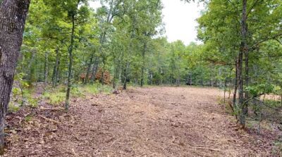 Owner Financed Hunting and Recreational Land in Missouri and Arkansas