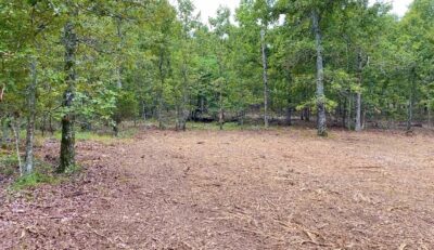 Owner Financed Hunting and Recreational Land in Missouri and Arkansas