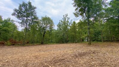 Owner Financed Hunting and Recreational Land in Missouri and Arkansas