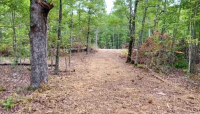 Owner Financed Hunting and Recreational Land in Missouri and Arkansas