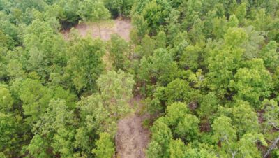 Owner Financed Hunting and Recreational Land in Missouri and Arkansas