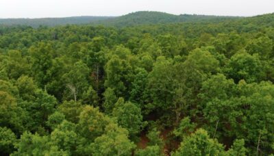 Owner Financed Hunting and Recreational Land in Missouri and Arkansas