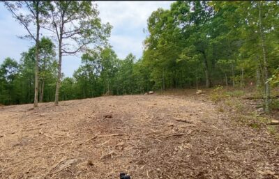 Owner Financed Hunting and Recreational Land in Missouri and Arkansas