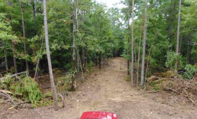 Owner Financed Hunting and Recreational Land in Missouri and Arkansas