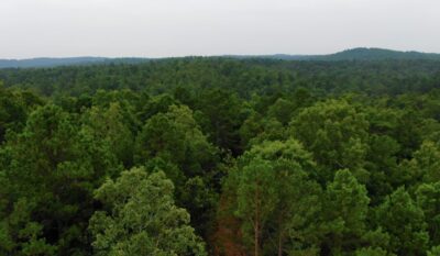 Owner Financed Hunting and Recreational Land in Missouri and Arkansas
