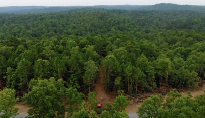 Owner Financed Hunting and Recreational Land in Missouri and Arkansas