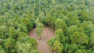Owner Financed Hunting and Recreational Land in Missouri and Arkansas
