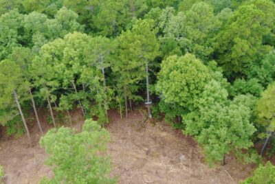 Owner Financed Hunting and Recreational Land in Missouri and Arkansas