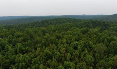 Owner Financed Hunting and Recreational Land in Missouri and Arkansas