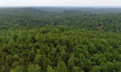 Owner Financed Hunting and Recreational Land in Missouri and Arkansas