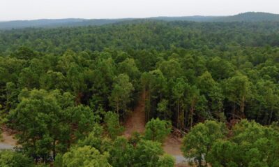 Owner Financed Hunting and Recreational Land in Missouri and Arkansas
