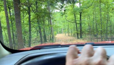Owner Financed Hunting and Recreational Land in Missouri and Arkansas