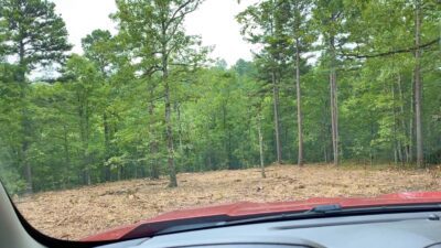 Owner Financed Hunting and Recreational Land in Missouri and Arkansas
