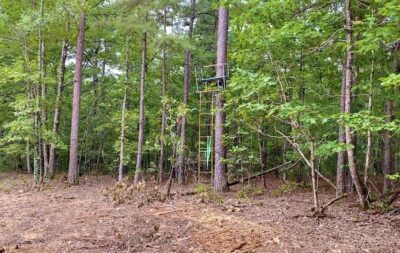 Owner Financed Hunting and Recreational Land in Missouri and Arkansas