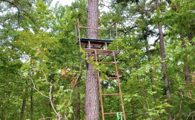 Owner Financed Hunting and Recreational Land in Missouri and Arkansas