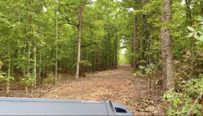 Owner Financed Hunting and Recreational Land in Missouri and Arkansas