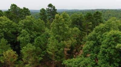 Owner Financed Hunting and Recreational Land in Missouri and Arkansas