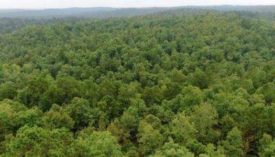 Owner Financed Hunting and Recreational Land in Missouri and Arkansas
